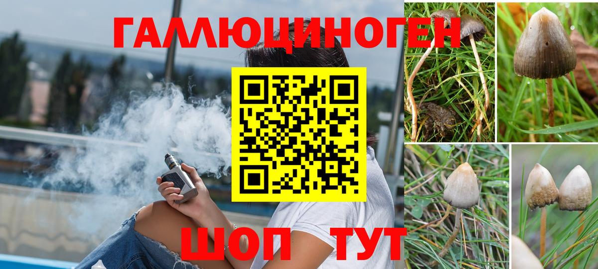 Псилоцибиновые грибы ЛСД Сургут